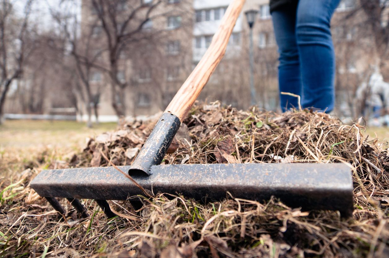 A person in jeans raking dead foliage 