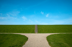 A dirt road splitting into left and right pathways amidst a green grass field